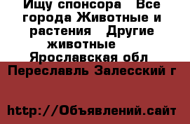 Ищу спонсора - Все города Животные и растения » Другие животные   . Ярославская обл.,Переславль-Залесский г.